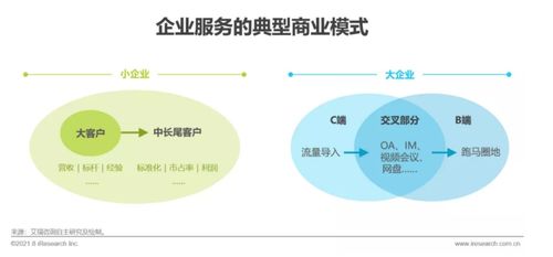《2021年中國企業(yè)服務(wù)研究報(bào)告》發(fā)布 信息咨詢服務(wù)引領(lǐng)企業(yè)數(shù)字化轉(zhuǎn)型新篇章